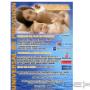 Subido por visitante en 31/10/2016