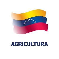 Ministerio Del Poder Popular Para Las Finanzas