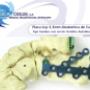 Placas lcp calcaneo Titanio anatomica 3,5 mm