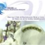 Sistemas de Pelvis Reconstruccion y Columna