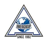 Ameriflet Consolidadores, CA.