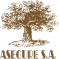 Asegure, S.a.