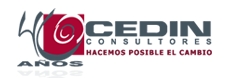 Cedin Consultores SA