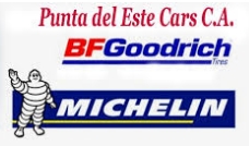 Punta del Este Cars C.A.-Repuestos del Automotor