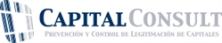 Capitalconsult, C.A