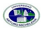 Universidad Arturo Michelena