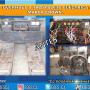 Mantenimiento "Overall" a traspaleta electrica marca Crown
