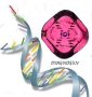 DIAGNOGEN - Dr. Humberto Moreno