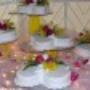 bodas 1