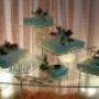 bodas 3