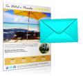 Boletín (Newsletter)