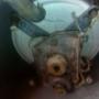 Subido por visitante en 6/2/2017 - base de la trasmision de lavadora whirlpool brasilera modelo WLA5523BW0