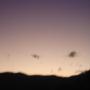 Subido por visitante en 8/7/2017 - amanecer