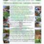 Subido por visitante en 22/1/2017 - Servicio de Diseño y Mantenimiento de jardines