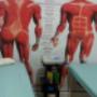 FISIOTERAPIA