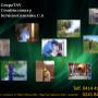 presentacion1