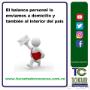 Subido por visitante en 6/12/2016