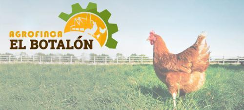 AGROFINCA EL BOTALON CA