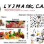 LYJMA