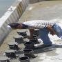 Subido por visitante en 16/1/2017 - Toma de Cilindros del Concreto Fresco