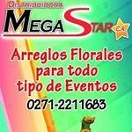 FLORISTERIA MEGASTAR VALERA