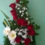 Subido por visitante en 17/6/2017