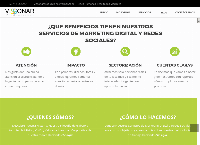 Sitio web de Vissonar Marketing Online