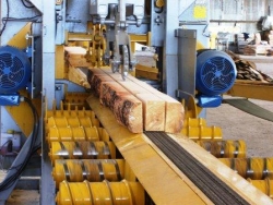 MADERA DE PINO