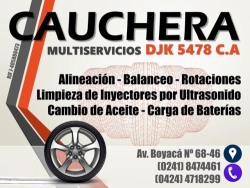 Multiservicios Djk 5478 C.A