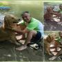 Subido por visitante en 3/11/2017 - Rio