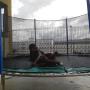 Subido por visitante en 22/6/2018