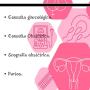 Consulta prenatal