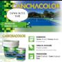 Cancha color