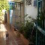 Pasillo.-
