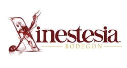 Xinestesia, C.A.
