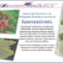 Publicidad 4