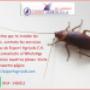 Publicidad 7