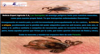 Las-Garrapatas