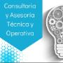 consultoria y asesoria tecnica