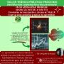 Taller Procesos -Premium