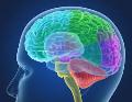 Neurocirugía