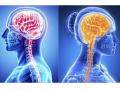 PSICOTERAPIA PROFUNDA