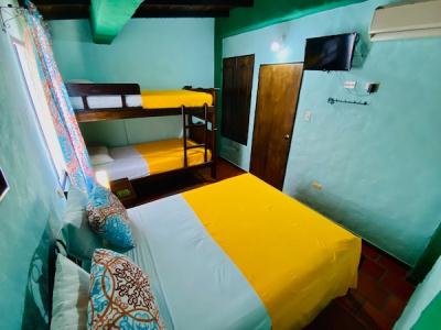 Apartamento-Cuádruple-Sen