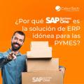 El papel de SAP B1 en la industria