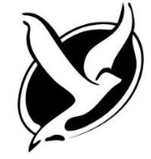 Grupo Porvenir21