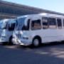 buses