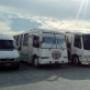 vans y buses