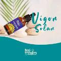 Vigor Solar