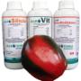 Agro Silicio, Agro Vit