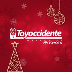 Toyoccidente
